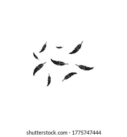 Feather background wallpaper ilustration vector
