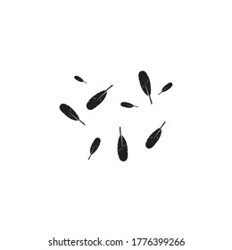 Feather background wallpaper ilustration vector