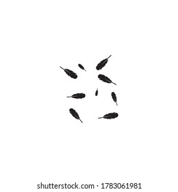 Vector de ilustración de fondo de plumas