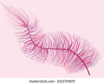 Feather. Beautiful Hand Drawn Beard Feathers Colorful Feather Isolated. Fluff. Feather for Wallpaper, Illustration, Carnival, Masquerade, Invitation, Textile. Decoration Element for Your Design.