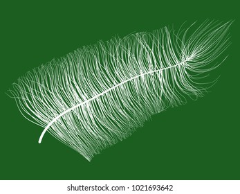Feather. Beautiful Hand Drawn Beard Feather. White Feather Isolated. Fluff. Feather for Wallpaper, Illustration, Carnival, Masquerade, Invitation, Paper, Textile. Decoration Element for Your Design.
