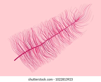 Feather. Beautiful Hand Drawn Beard Feathers Colorful Feather Isolated. Fluff. Feather for Wallpaper, Illustration, Carnival, Masquerade, Invitation, Textile. Decoration Element for Your Design.