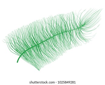 Feather. Beautiful Hand Drawn Beard Feather. Green Feather Isolated. Fluff. Feather for Wallpaper, Illustration, Carnival, Masquerade, Invitation, Paper, Textile. Decoration Element for Your Design.