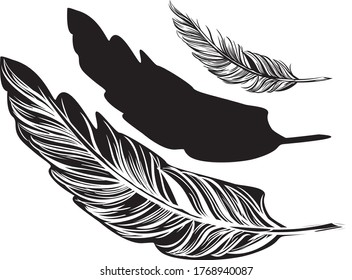Juego de dibujos vectoriales de plumas
