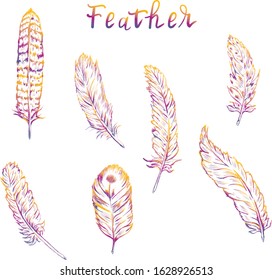 Feather beauty vector isolated design elements on white background . Concept for logo, icon, print , web design 