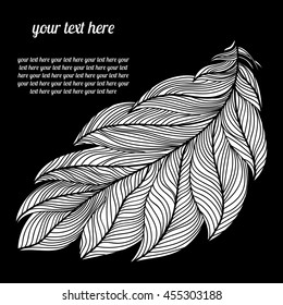 the feather of a bird