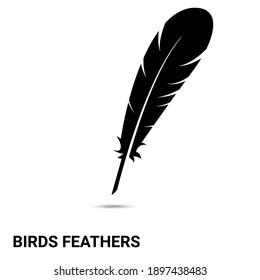 The feather of a bird. The bird's feather is isolated on a light background. Vector illustration.