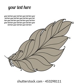 the feather of a bird. brown and grey