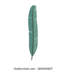 Feather of bird cartoon vector icon.Cartoon vector illustration watercolor of pen. Isolated illustration of feather of bird icon on white background.