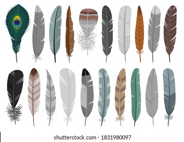 Feather of bird cartoon vector set illustration of icon.Feather pattern vector set of icon.Set illustration pen of bird on white background.