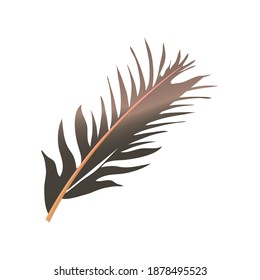 feather bird decoration icon white background vector illustration