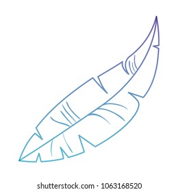feather bird decorative icon