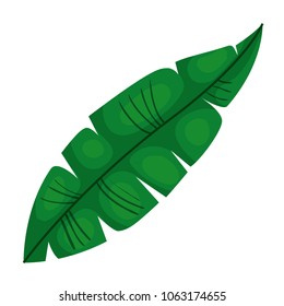 feather bird decorative icon