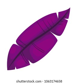 feather bird decorative icon