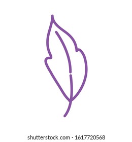 feather bird decorative isolated icon vector illustration design