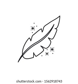 feather bird fantasy line design vector illustration