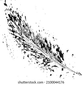 Feather of bird. Hand drawn ink retro illustration black