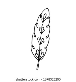 Feather bird isolated on white background. Template outline vector illustration. Black lined drawing.  Decorative ornate icon. Doodle style.