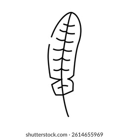 feather bird line icon vector. feather bird sign. isolated contour symbol black illustration
