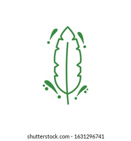 feather bird line style icon vector illustration design
