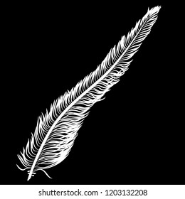 Feather of a bird on a black background, vector