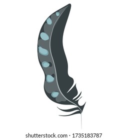 Feather of a bird on a white background. Bird feather