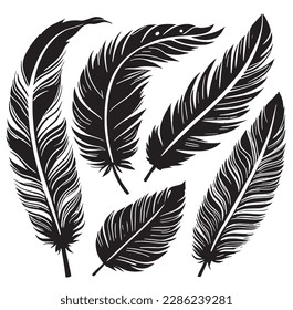 Feather of a bird on a white background. Vector illustration.