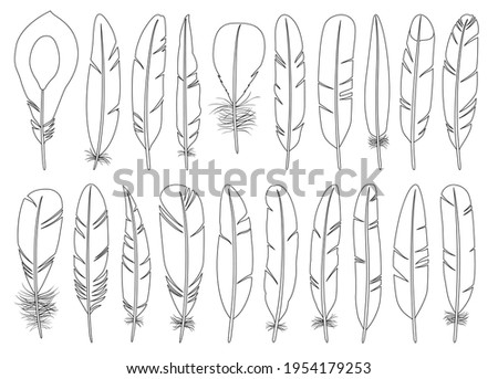 Feather of bird outline vector set illustration of icon.Feather pattern vector set of icon.Set illustration pen of bird on white background.
