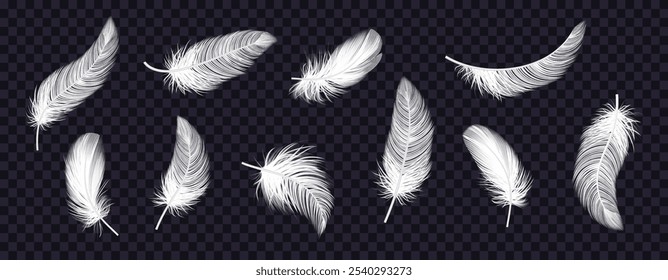 Feather bird realistic. Icon angel, transparent softness, tenderness texture. 3D plumage pen. Wing falling, fluffy plume soft. Elegant white quills, beauty art plumage. Vector beauty isolated set