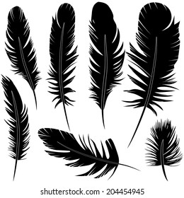 Feather of bird set vector illustration sketch