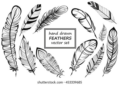 Feather of bird set vector illustration sketch