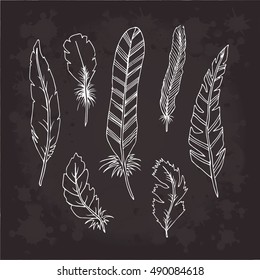 Feather bird set vector isolated on white background. Doodle style illustration. Cloth, design, wallpaper, wrapping, textiles, paper, card, invitation, holiday, birthday, logo,icon,poster,art. Eps10. 