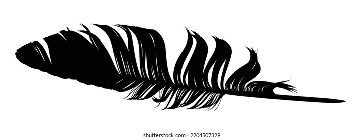 La pluma de la silueta de pájaro. 