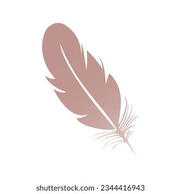 feather bird tender vector illustration
