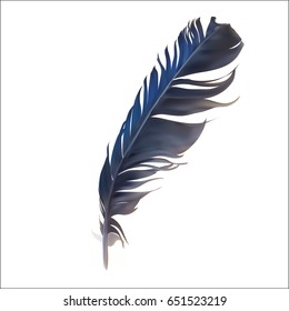 Feather bird vector