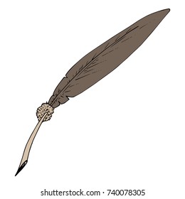 Feather of a bird. Vector illustration.