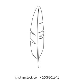 Feather bird vector outline icon. Vector illustration quill on white background. Isolated outline illustration icon of feather bird .