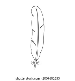 Feather bird vector outline icon. Vector illustration quill on white background. Isolated outline illustration icon of feather bird .