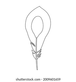 Feather bird vector outline icon. Vector illustration quill on white background. Isolated outline illustration icon of feather bird .