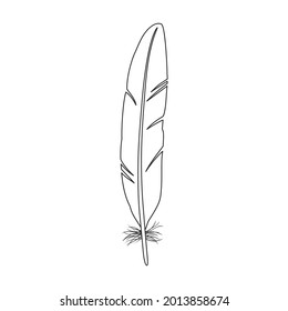 Feather bird vector outline icon. Vector illustration quill on white background. Isolated outline illustration icon of feather bird .