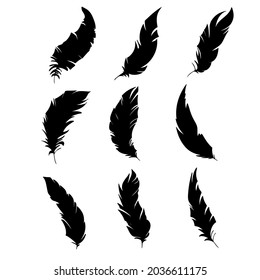 Feather of birds. Black feather silhouette for logo vector set