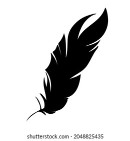 Feather of birds. Black feather silhouette for logo vector set