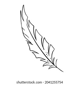 Feather of birds. Black and white feather silhouette for logo vector set