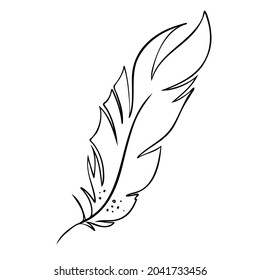 Feather of birds. Black and white feather silhouette for logo vector set