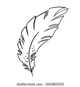 Feather of birds. Black and white feather silhouette for logo vector set