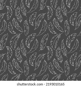 Feather of birds. Black and white feather silhouette hand drawn