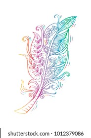 Feather birds hand drawing