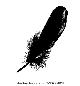 Feather Black Ink Graphic Boho Drawn Illustration