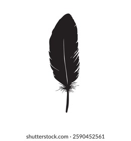 Feather Black Silhouette Hand-Drawn Sketch with Grunge Texture
