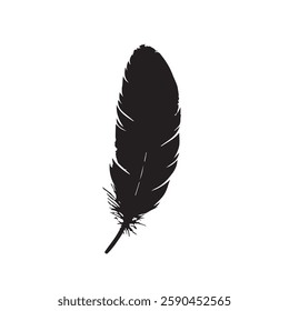 Feather Black Silhouette Hand-Drawn Sketch with Grunge Texture